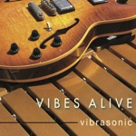 Vibes Alive - Vibrasonic