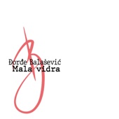 Mala vidra artwork