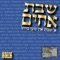 Mezbish (feat. Mordechai Ben David) - Avi Fishoff lyrics