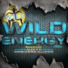 Wild Energy 2019 (Mixed by Alex K & Hard Dance Alliance)