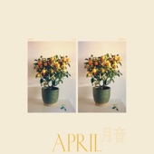 April/月音 artwork