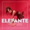 Elefante (ToldorTunes Remix) - NK lyrics