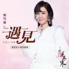 遇見 (手遊《遇見逆水寒》推廣曲) - Single album lyrics, reviews, download