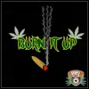 Burn It Up - Single album lyrics, reviews, download