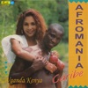 Afromania Caribe (with Vários Artistas), 1982