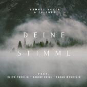 Deine Güte (feat. Sabine Grill) artwork