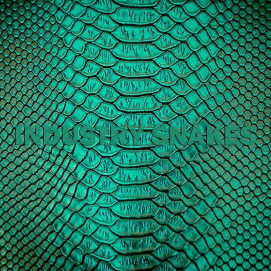 Cover artwork for Industry Snakes