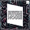 The Definition of Future House, Vol. 15