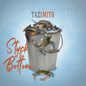 Taz Smith - Stuck at the Bottom