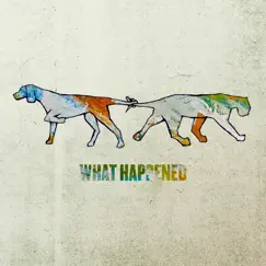 What Happened by Dog & Panther album reviews, ratings, credits