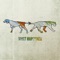 Homebody - Dog & Panther lyrics