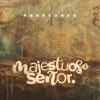 Majestuoso Señor (feat. Willy Rodriguez) - Single