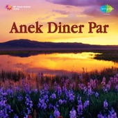 Anek Diner Par artwork