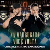 Na Madrugada Você Volta (Ao Vivo) - Single [feat. Raí Saia Rodada] - Single