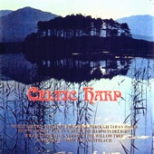 The World of Celtic Harp artwork