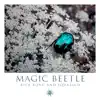 Magic Beetle - Single album lyrics, reviews, download