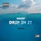 Drip in It (feat. CZARnicholas) - Shawdy lyrics