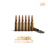 Roulette russe 6.5 artwork