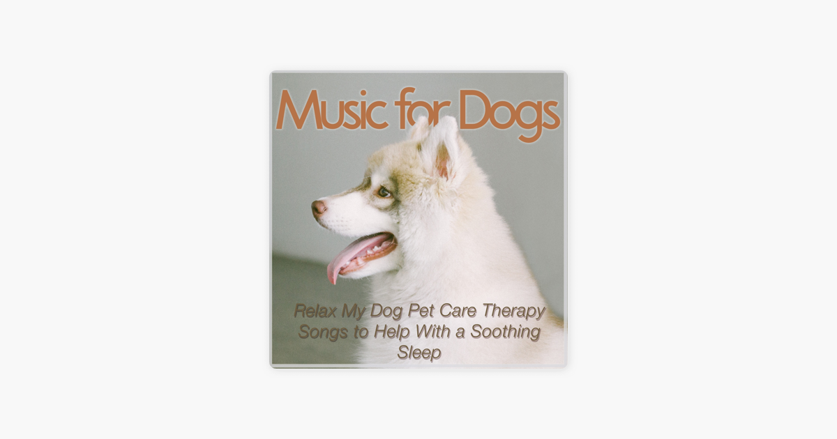 songs to help dogs sleep