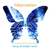 Clockwork Butterfly (Bwoy De Bhajan Remix) - Single