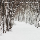 All I Want (For Christmas) artwork