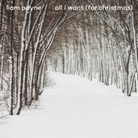 All I Want (For Christmas) - Liam Payne