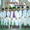 Los Temibles de Chihuahua - Se Me Extravió El Corazón