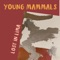 Cusco - Young Mammals lyrics