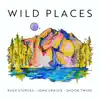 Wild Places (feat. John Craigie & Shook Twins) - Single album lyrics, reviews, download