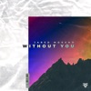 Without You - Single