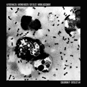 Alfredo Mazzilli, Antonio Ruscito, Wrong Assessment & Edit Select - Equilibrium - EP