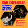 Stream & download Brave New World (feat. Simon Phillips) [with Michael Silverman, Bill Westfall & Eric Marienthal] - Single