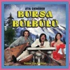 Bursa Bülbülü (Orijinal Film Müzikleri)