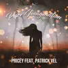 Pure Imagination (feat. Patrick Vel) - Single album lyrics, reviews, download