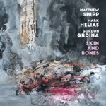 Matthew Shipp, Mark Helias & Gordon Grdina - Stick and Move