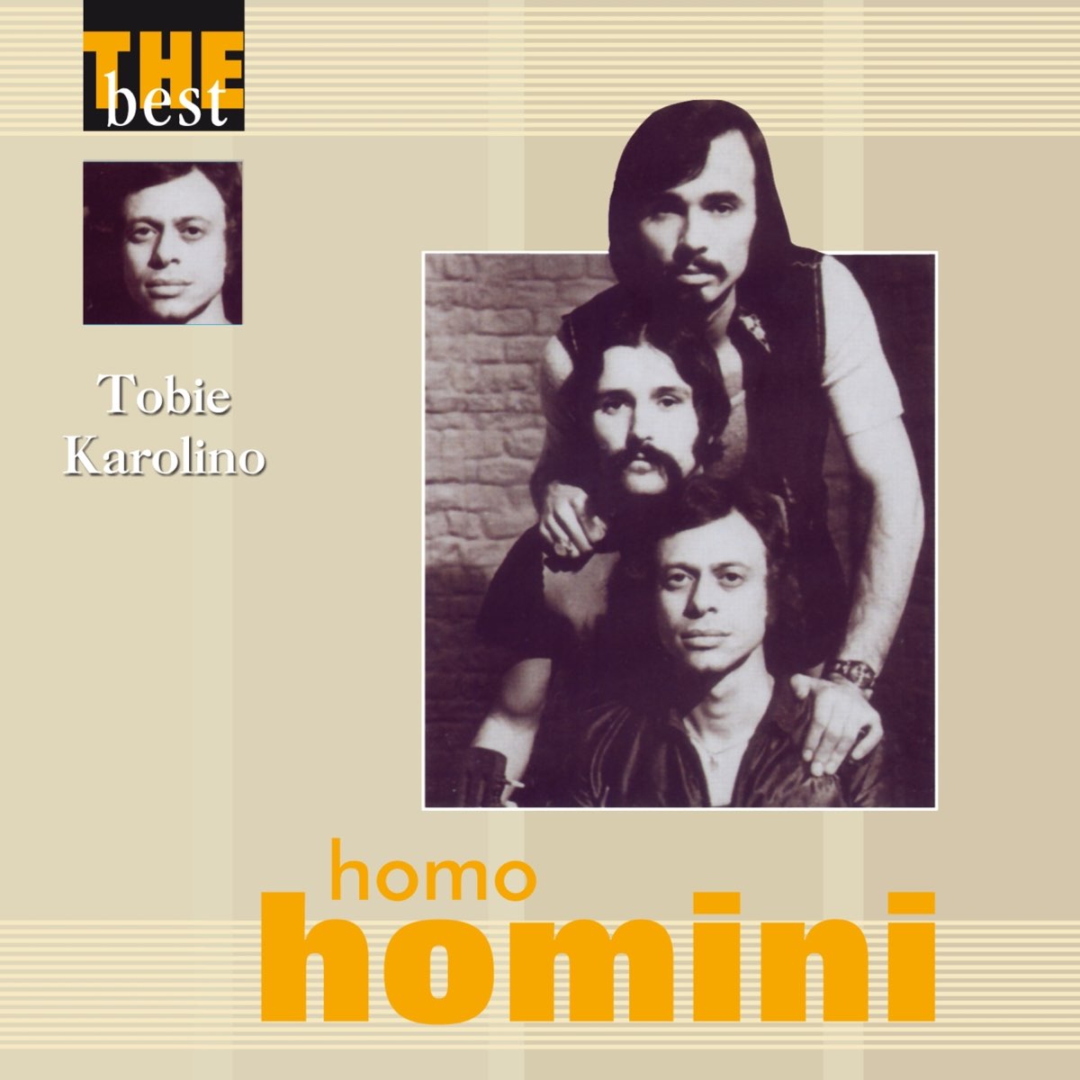 Группа homo. Группа homo Homini.