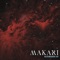 Transient (acoustic) - Makari lyrics