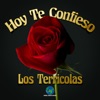 Hoy Te Confieso - Single