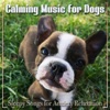 Relaxmydog - Pet Paradise
