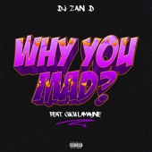 Why You Mad? (feat. Gigi Lamayne) artwork