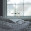 Good Night World - Single