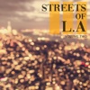 Streets of - L.A., Vol. 2