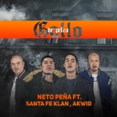 Gallo de Pelea (feat. Santa Fe Klan & Akwid) artwork