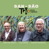 Amilton Godoy,Harvey Weinapel, Lea Freire - Fé