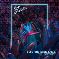 Big Gigantic - You’re the One (feat. Nevve) artwork