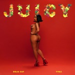 Doja Cat & Tyga - Juicy