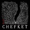 DWNW (feat. Samy Deluxe) - Chefket lyrics
