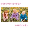 Cheerbleederz - sometimes i cry at work