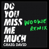 Do You Miss Me Much (Wookie Remix) artwork