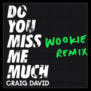 Do You Miss Me Much (Wookie Remix) - Single